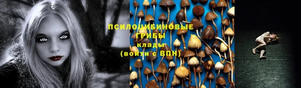 бошки Переславль-Залесский