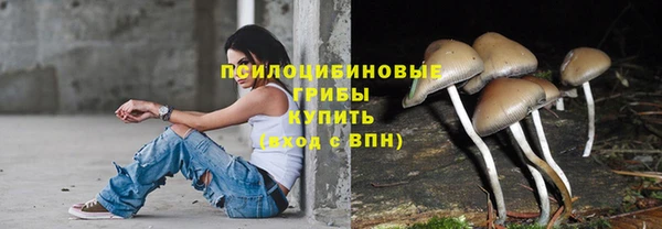 mdma Пересвет