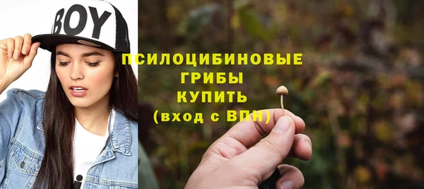 бошки Переславль-Залесский