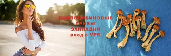 mdma Пересвет