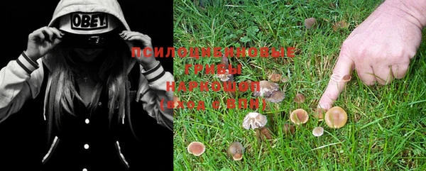 mdma Пересвет
