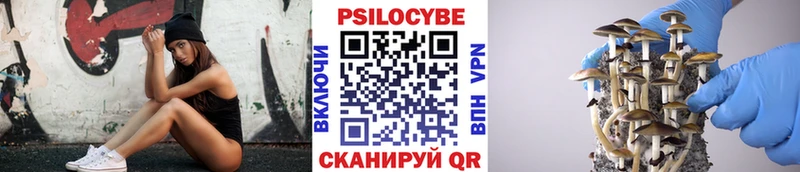 купить закладку  Альметьевск  Галлюциногенные грибы Cubensis 