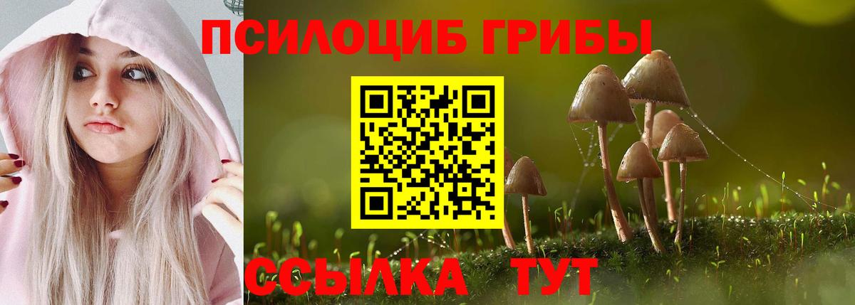 Галлюциногенные грибы Psilocybine cubensis  Вход с VPN  Галлюциногенные грибы мицелий  Альметьевск 
